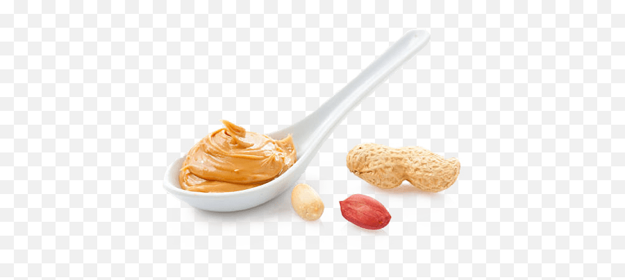 Peanut Butter Spoon png download - 1024*636 - Free Transparent Peanut Butter  png Download. - CleanPNG / KissPNG