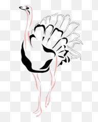 Ostrich Svg Clip Arts Download - Ostrich Stencills Png,Ostrich Png