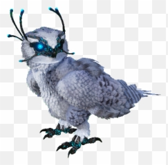Hedwig W Snow Owl Name Ideas Tips Dododex - Snow Owl In Ark Png,Hedwig Png