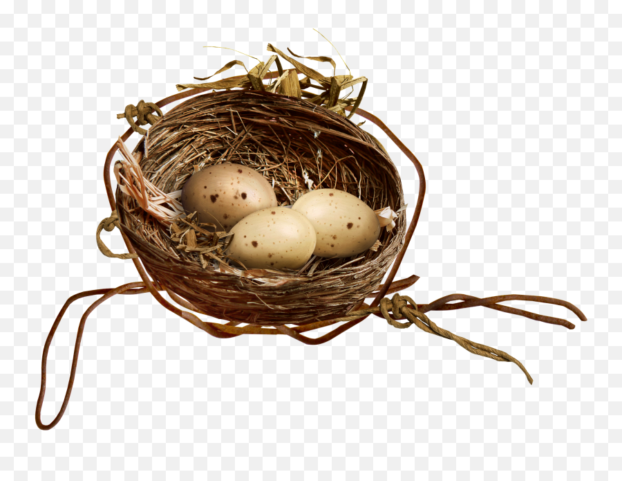 Egg Clipart Nest Transparent Free For Download - Nest Clipart Png,Nest Png