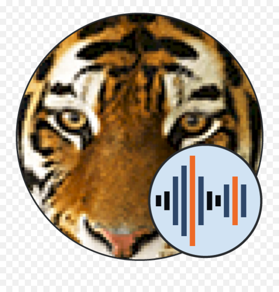 Tiger Sounds U2014 101 Soundboards - Siberian Tiger Png,Bengal Tiger Icon