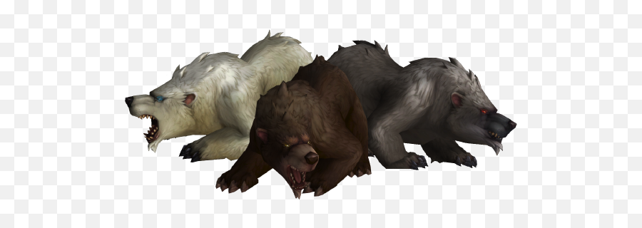 Bear - Wowpedia Your Wiki Guide To The World Of Warcraft Turkey Vulture Png,Polar Bear Png