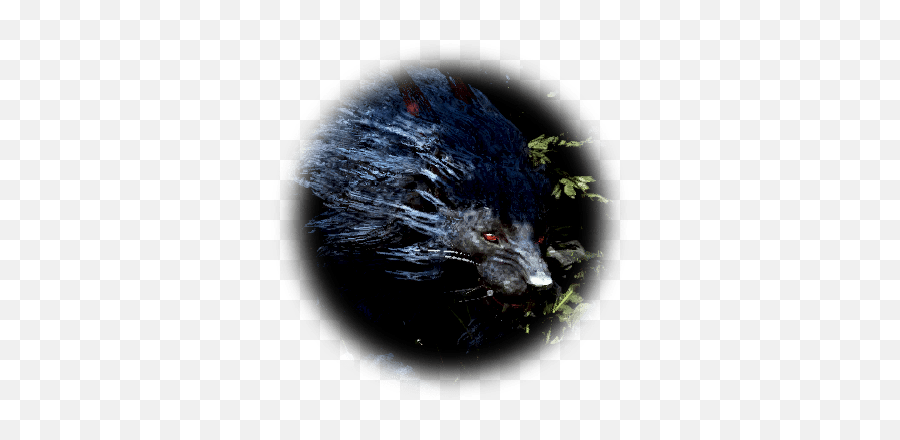 Hunteru0027s Dream - Bdo Codex Shadow Lion Bdo Png,Final Hunt Icon ...