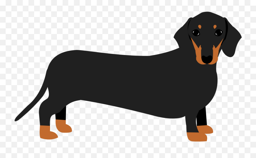 Dachshund Clipart Sausage Dog - Clip Art Dachshund Png,Sausage Transparent