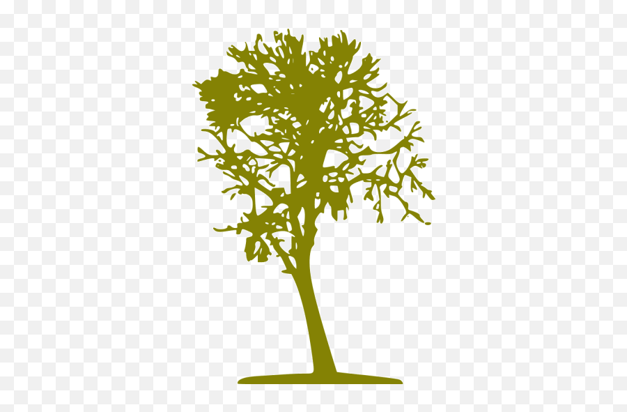 Olive Tree 16 Icon - Free Olive Tree Icons Tree Png,Olive Branch Icon
