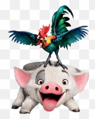 Pua Moana Png 82 - Hei Hei Moana Png,Moana Png Images