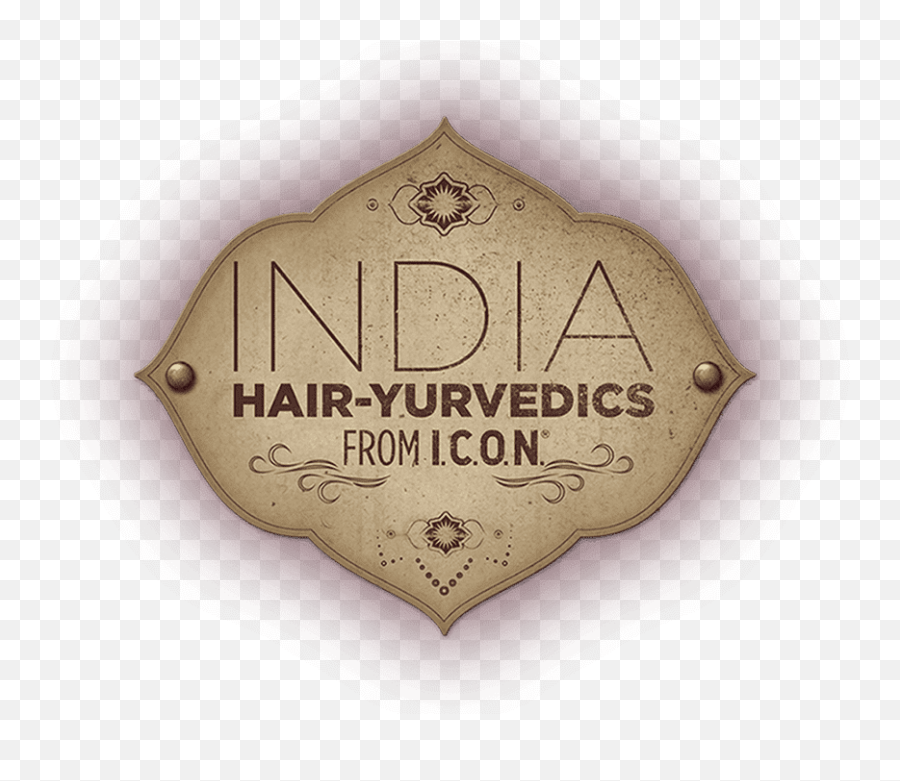 India 2019 Icon Products - Language Png,Icon Hairdressing