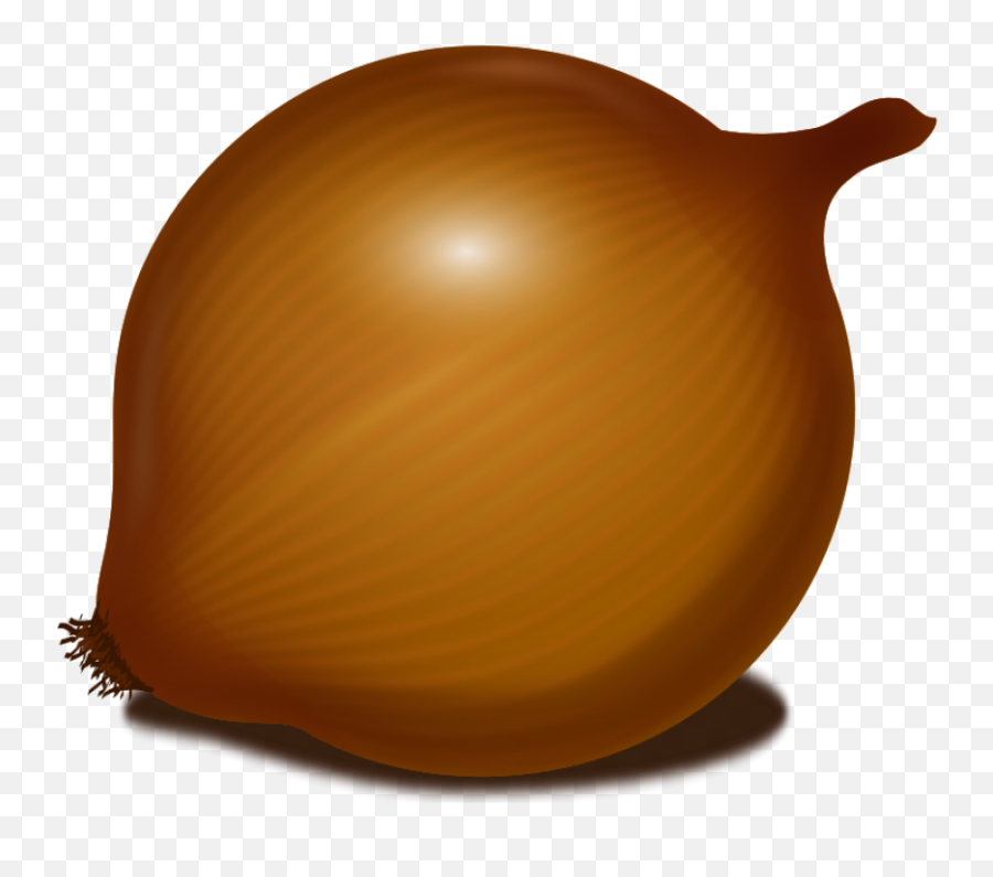 Onion Png Image - Onion Clipart No Background,Onion Png