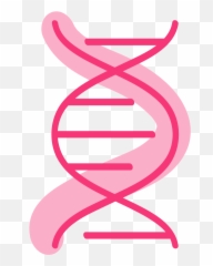 Ride Now 2022 - Adn Facil De Dibujar Png,Double Helix Icon