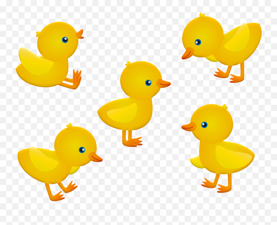 Baby Chicks Chickens Ducks - Easter Chick Clipart Png,Baby Chicks Png