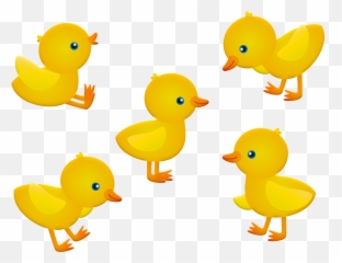Baby Chicks Chickens Ducks - Easter Clipart png