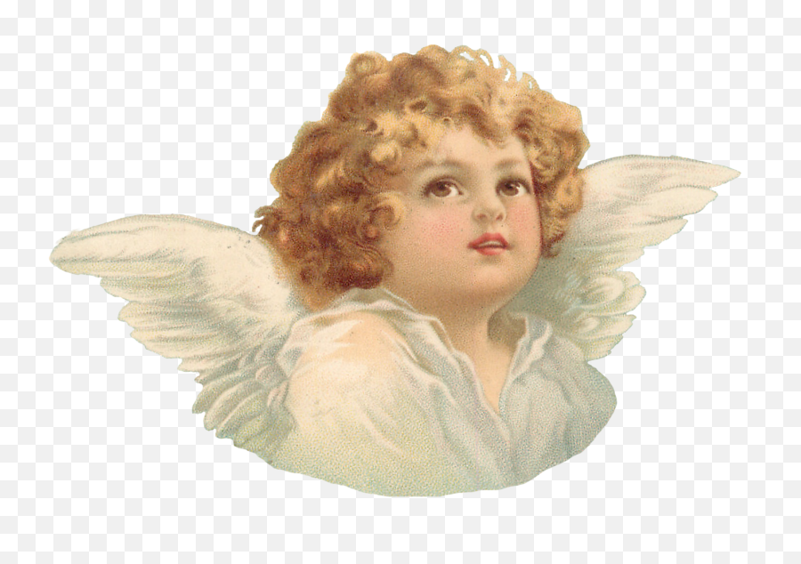 Cherub Torso 2 Png Angel Transparent Background