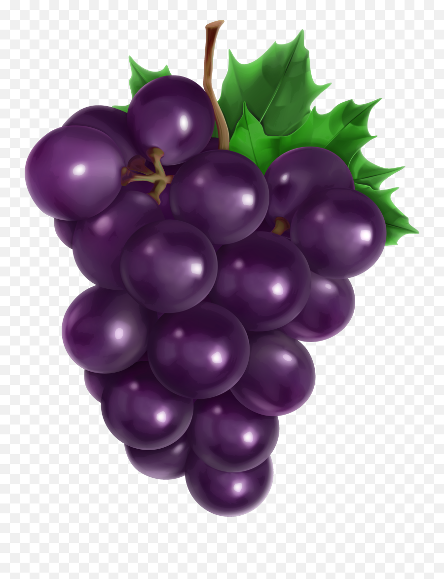 Grapes Clip Art Clipart - Clipartingcom Grapes Cartoon Png,Art Clipart Png