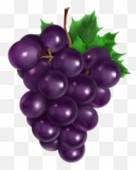 Grapes Clip Art Clipart - Clipartingcom Grapes Cartoon Png,Art Clipart Png