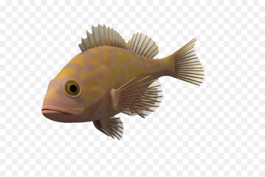 Png Ocean Fish Transparent Background - Portable Network Graphics,Ocean Transparent Background