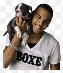 12 Fortune Chris Brown Psd Images - Chris Brown Professional Png,Chris Brown Png