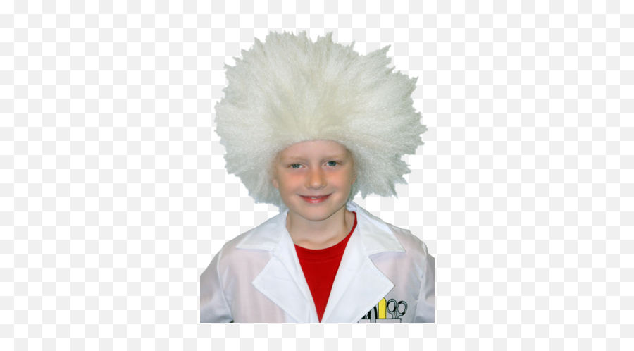 Deluxe Mad Scientist Wig - Child Size Wig Big Party Oz Scientist Hair Transparent Png,Crazy Hair Png