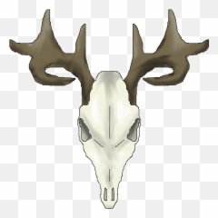 Download Whitetail Deer Skull Drawings - png