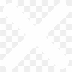 Download Nl - Fr White Delete Icon Png PNG Image with No