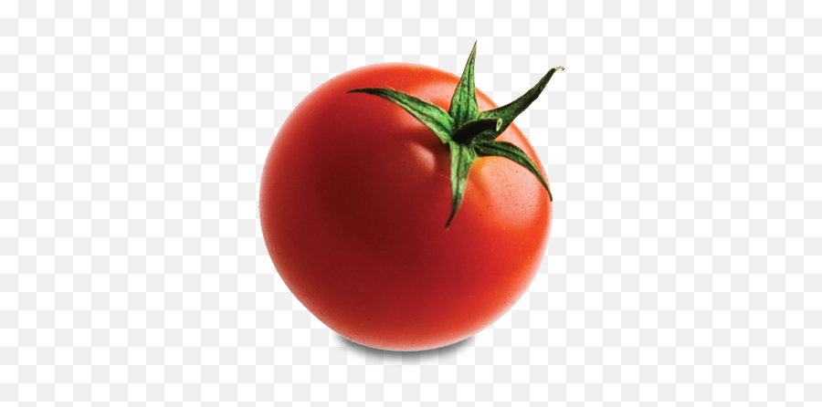 Tomato Png Transparent Images - Tomato Png Transparent,Tomato Png