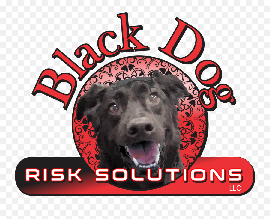 Compliance And Risk Management For Your - Companion Dog Png,Black Dog Png