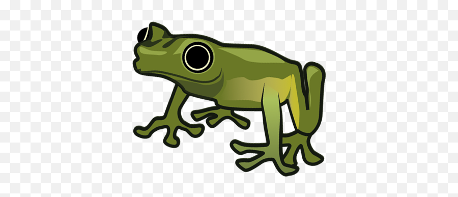 2019 Evening Of The Frogs Stockholms - Tree Frog Png,Frog Png