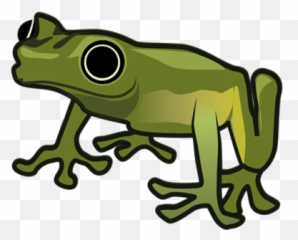 2019 Evening Of The Frogs Stockholms - Tree png