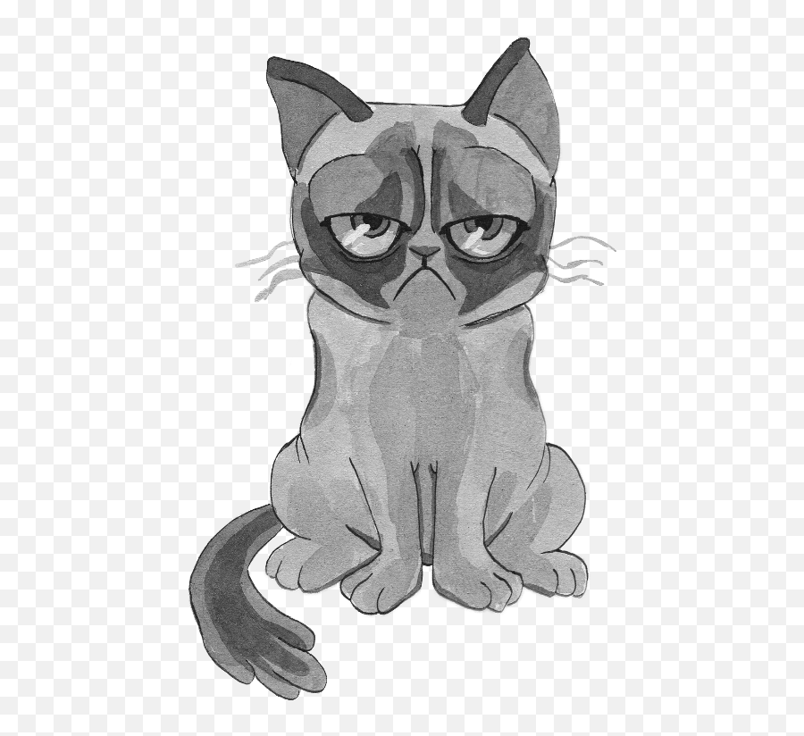 Download Grumpy Cat Png Image With No Background - Cartoon,Grumpy Png