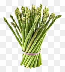 Tied Bundle Of Asparagus Transparent - Asparagus Amazon Png,Asparagus Png