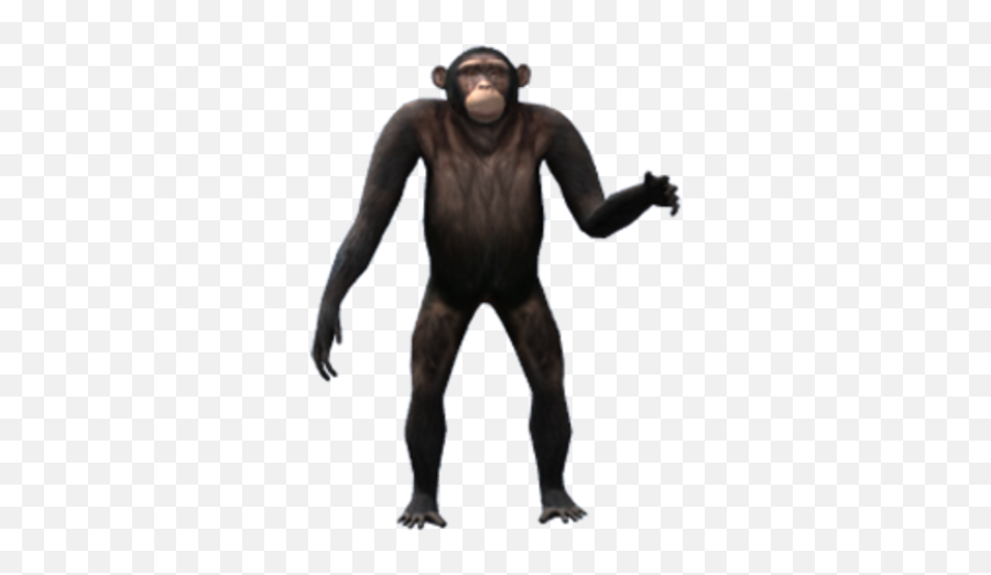 Ape - Ugly Png,Ape Png