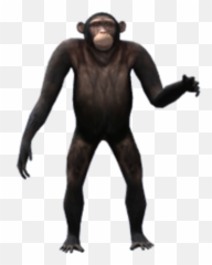 Ape - Ugly Png,Ape Png