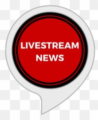 Live Stream News And Tips - Egg Clip Art Png,Live Stream Png