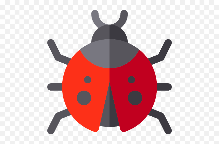Flat Version Ladybug Icon - Nature Rounded Icons Png,Transparent Ladybug
