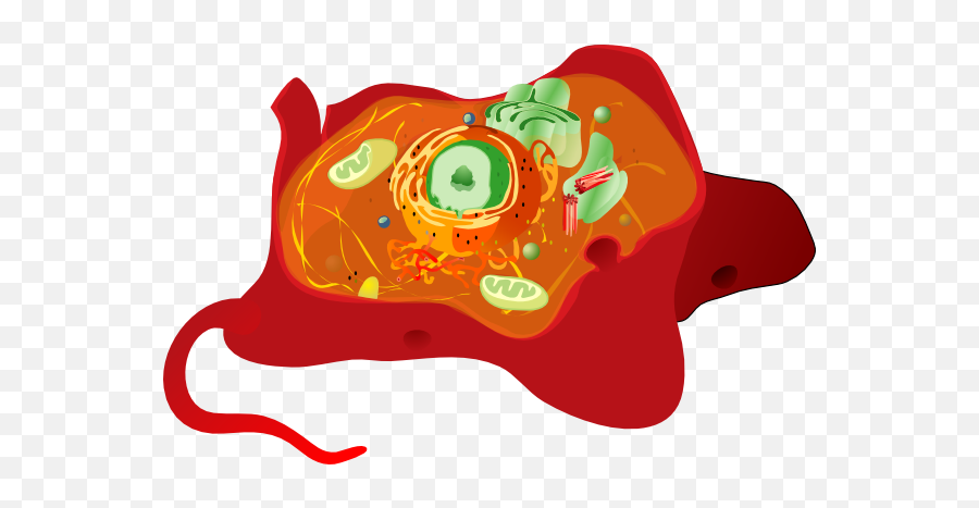 Animal Cell Png Svg Clip Art For Web - Download Clip Art Cytoskeleton In A Cell,Cell Png