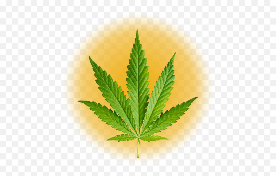 Weed Sign Png Images Collection For Free Download Llumaccat