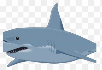 Bull Shark Clipart Transparent - Background png