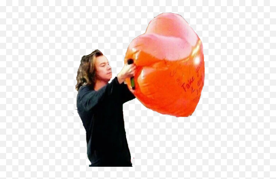 Telegram Sticker From Collection Harry Styles - Harry Styles Stickers Telegram Png,Harry Styles Icon Tumblr