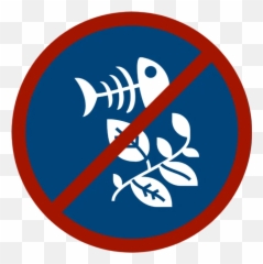 Recycle Right - Washington County Language png