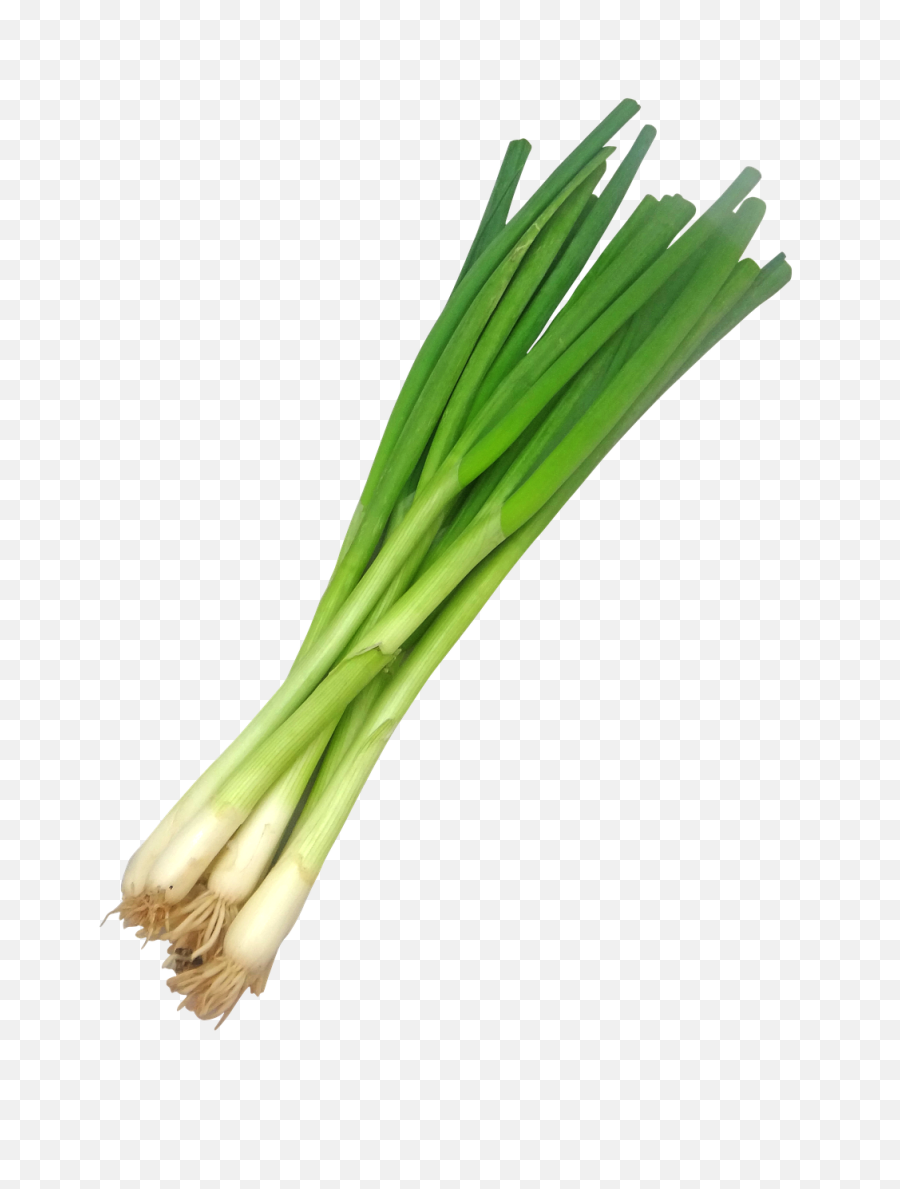 Spring Onion Png Transparent Image - Transparent Spring Onion Png,Onion Png