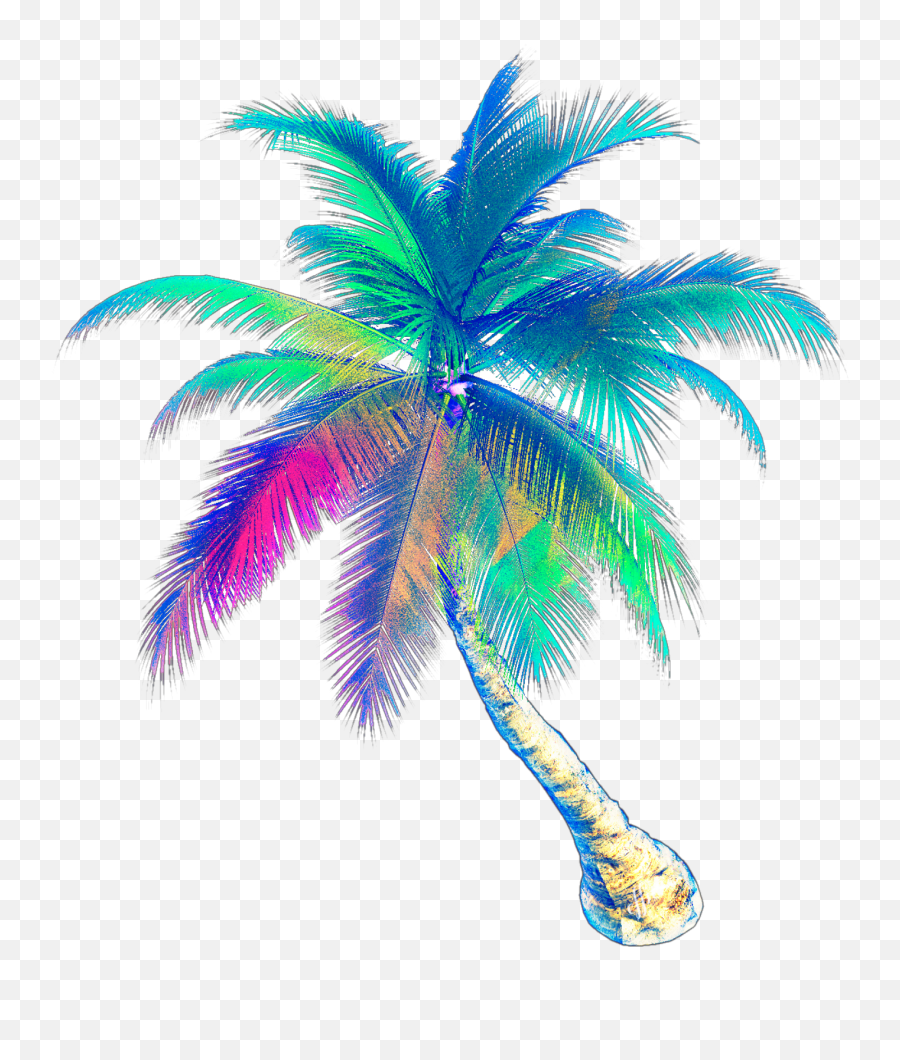 Palm Tree Sticker Challenge - High Resolution Palm Tree Png,Modern Palm Tree Icon