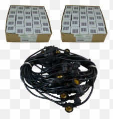 Httpswwwoogalightscom 2022 - 0315 daily 10 Cardboard Box png