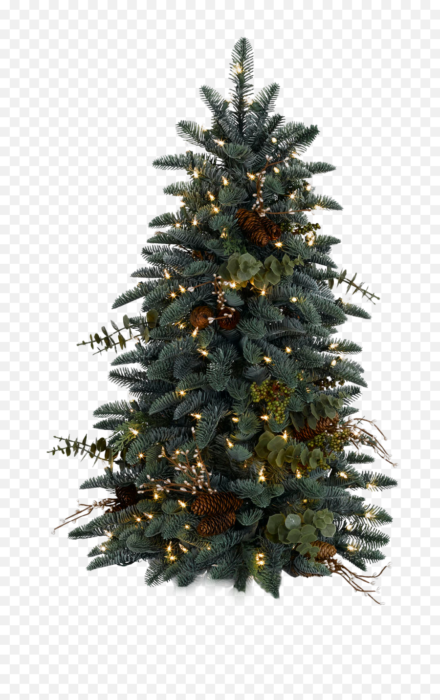 Download Christmas Tree Png Hd 097 - Real Christmas Tree Png,Xmas Tree Png