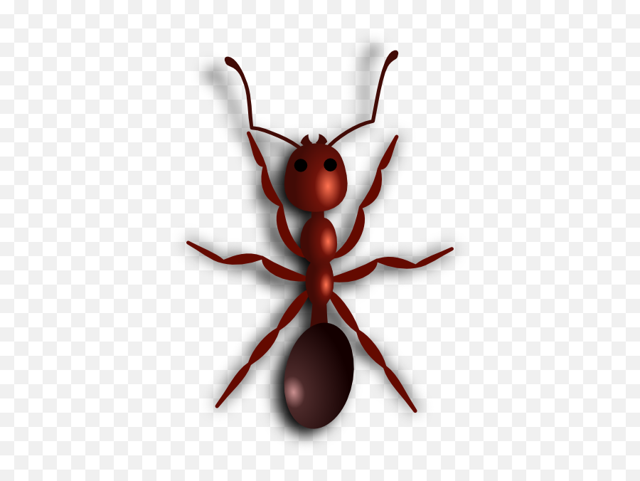 Ant Png - Fire Ant Clipart,Ant Png