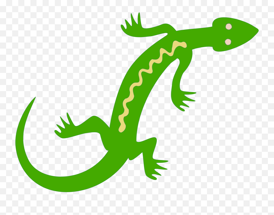 Lizard Reptile Salamander Lacertids Gecko - Lizard Clipart Transparent Salamander Clipart Png,Reptiles Png