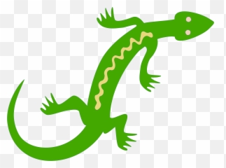 Lizard Reptile Salamander Lacertids Gecko - Lizard Clipart Transparent Salamander Clipart Png,Reptiles Png