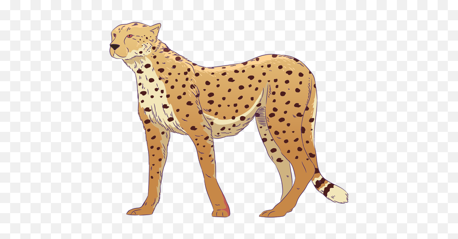 Wild Animal Cheetah Hand Drawn Colorful - Transparent Png Cheetah Drawn Transparent Png,Cheetah Print Png