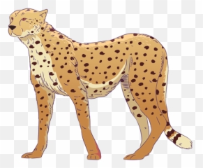 Wild Animal Cheetah Hand Drawn Colorful - Transparent Png Cheetah Drawn Transparent Png,Cheetah Print Png
