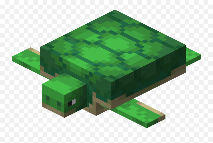 Turtle U2013 Official Minecraft Wiki - Minecraft Cake In Game Png,Grass Top View Png