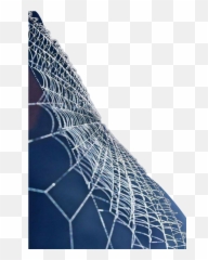 Cobwebs - Museo Nacional De Historia Natural Eugenio Jesus Plaza La Cultura png
