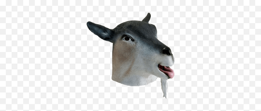 Donkey Mask Transparent Png - Stickpng Transparent Goat Head Png,Donkey Png